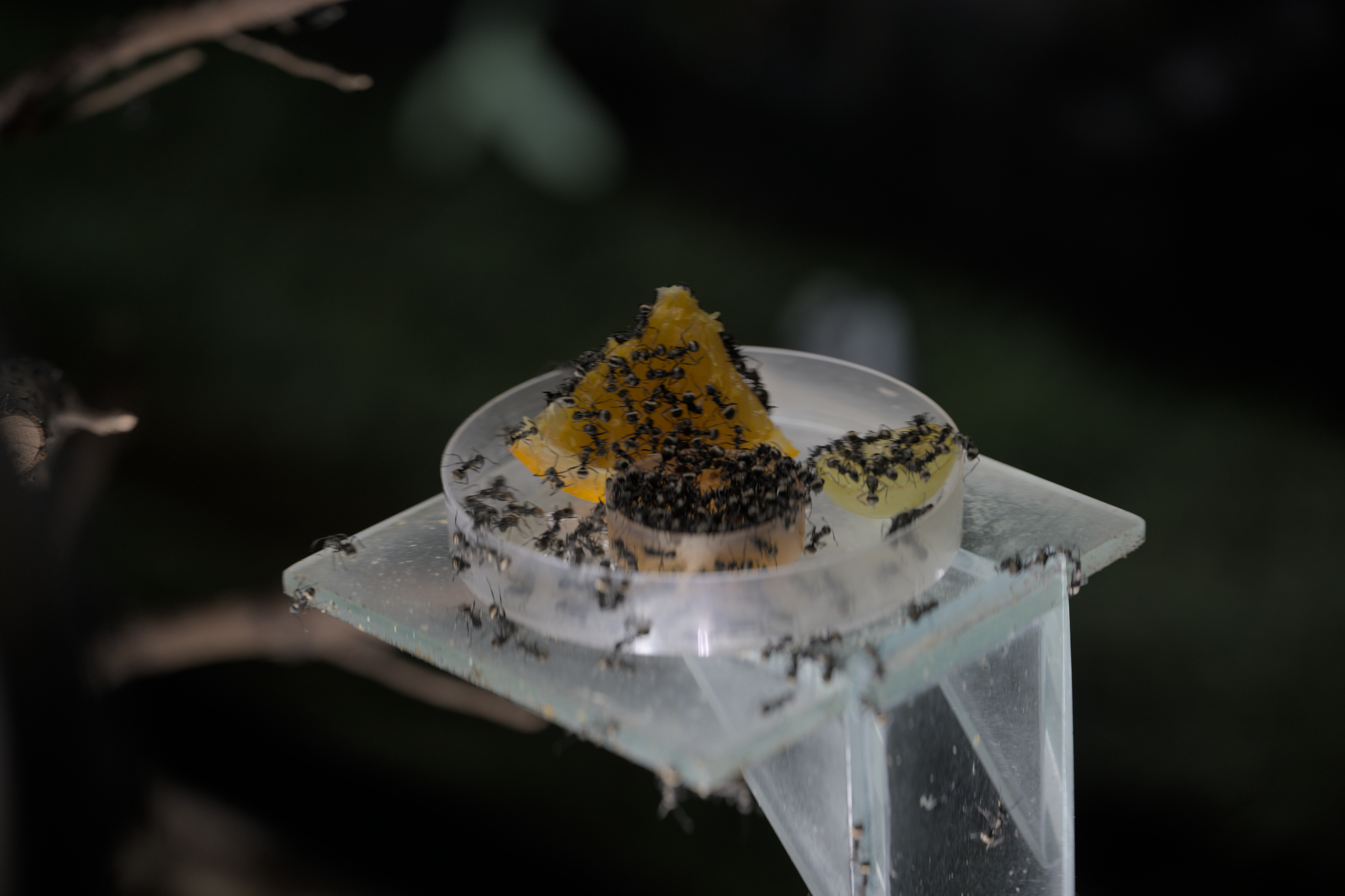 2025/10/12 - zoo/DSC_0194.jpg